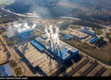 آیا چوب و کاغذ مازندران در آستانه واگذاری است؟