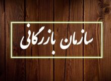 اختصاصی| دولت خواستار ایجاد سازمان بازرگانی و تنظیم ﺑﺎﺯﺍﺭ شد