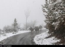 بارش برف در جاده‌های ۲ استان/ تردد روان در محورهای شمالی