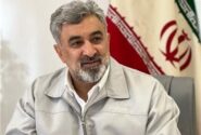 حسین‌زاده مدیرعامل پارس خودرو شد