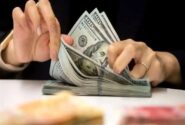 سیاست ارزی ایران، دیگر شناور مدیریت شده نیست؟