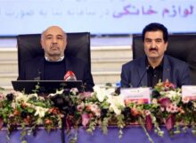 شناسایی الگوی پیوند واحد‌های کوچک و بزرگ برای جهش تولید