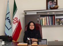 فرزانه انصاری رییس سازمان ملی استاندارد ایران شد