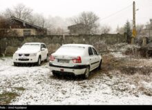 هواشناسی ایران۴۰۳/۱۰/۸؛بارش برف در ۲۰ استان؛ سفرها ممنوع