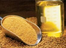 واردات روغن خام ۳۴ درصد کاهش و قیمت جهانی ۳۰درصد افزایش یافت