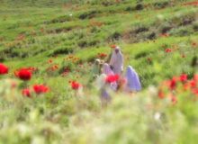 چگونه زنان بین حضور اجتماعی و حریم اخلاقی تعادل ایجاد کنند؟