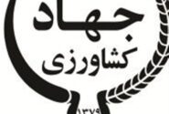تات در مسیر کوچک‌سازی و اثر بخشی