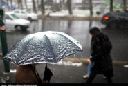 هواشناسی ایران۱۴۰۳/۱۱/۲؛بارش برف و باران در ۱۱ استان