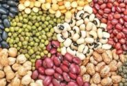 بازاراقلام غیرترجیحی بهم ریخت/شوک تورم۱۷درصدی حبوبات در۱ ماه