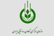 عرضه میوه شب عید و خرما ۲۰ درصد پایین‌تر از نرخ بازار