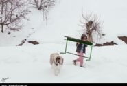 هواشناسی ایران۱۴۰۳/۱۲/۱۸؛بارش برف و باران در ۲۹ استان