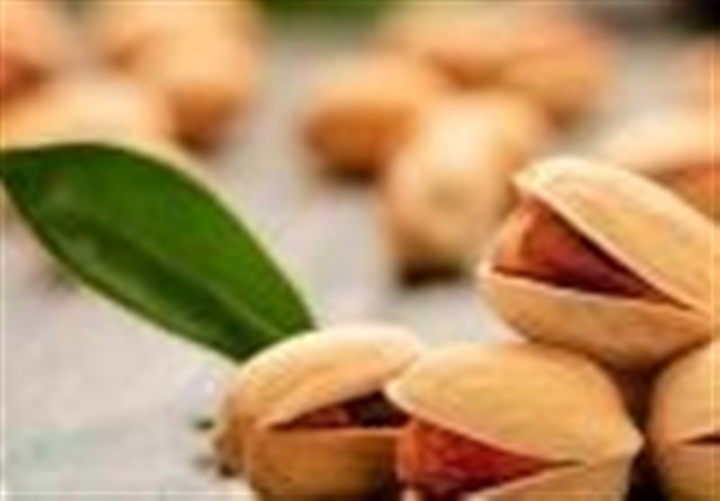 آلودگی به مایکوتوکسین‌ها از چالش‌های اصلی صادرات پسته