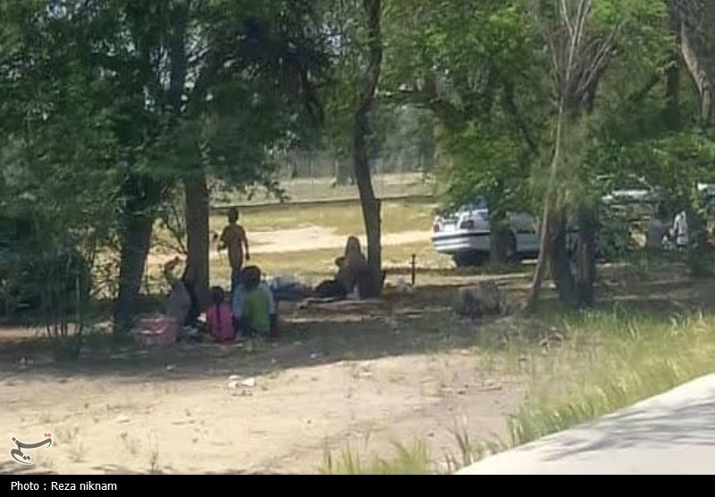 طبیعت‌گردی در اسلام؛ فرصتی برای تفریح، تذکر و شکرگزاری