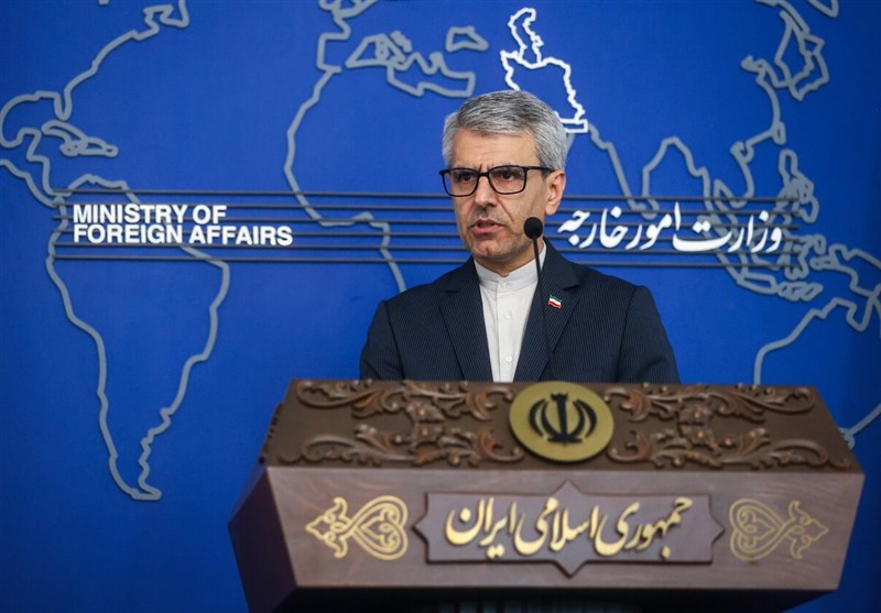 بقائی: فرانسه نسبت به حقوق بشر رویکرد دوگانه دارد
