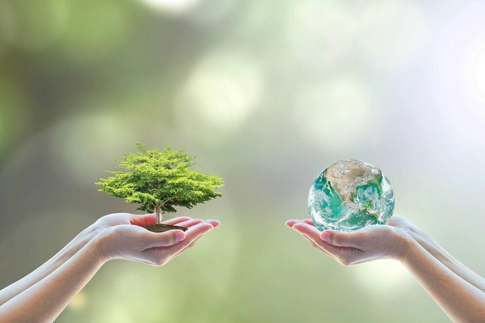 لزوم ممنوعیت اجرای پروژههای توسعهای در مناطق شکننده اقلیمی