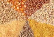 تداوم تخصیص ارز ۲۸۵۰۰ تومانی برای برخی کالاهای اساسی