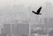 درخواست افزایش نرخ کمیسیون مشاوران املاک در اوج رکود بازار مسکن