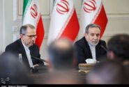 عراقچی: دستگاه دیپلماسی از هیچ کوششی برای احقاق حقوق مردم فروگذار نیست