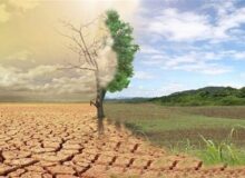 اصلاح یک برداشت نادرست در سوره الرحمن؛ جهنم نعمت است یا نقمت؟
