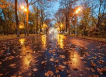 هواشناسی ایران۱۴۰۴/۷/۱۸؛ پیش بینی بارندگی در استان های شمالی
