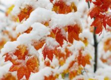 هواشناسی ایران۱۴۰۴/۷/۲۰؛هشدار ناپایداری جوی در ۹ استان تا سه‌شنبه